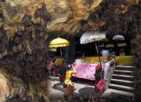 praying in Goa Lawah - bat temple
