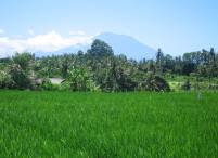 view to Gunung Agung (sacred mountain of Bali - volcano)